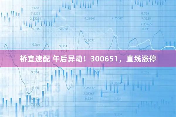 桥宜速配 午后异动！300651，直线涨停